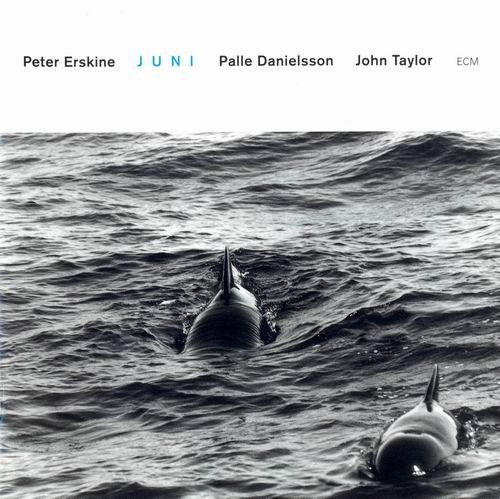 Peter Erskine, Palle Danielsson, John Taylor - Juni (1999) CD Rip