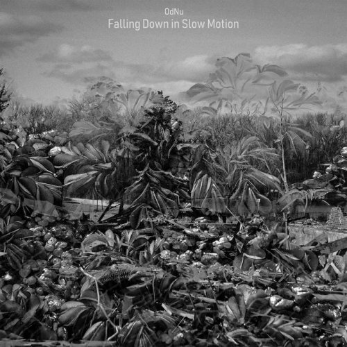 Odnu - Falling Down in Slow Motion (2019)