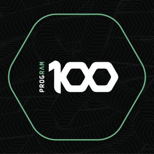 VA - ProgRAM 100 (2019)