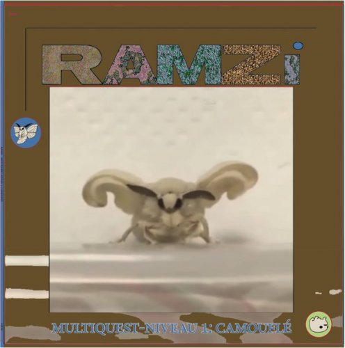 Ramzi ‎- Multiquest Niveau 1: Camouflé (2019)