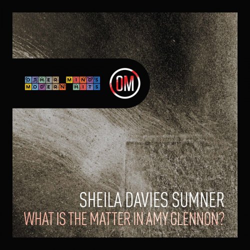 Sheila Davies Sumner - What Is the Matter in Amy Glennon? (2019)