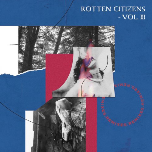 VA - Rotten Citizens Vol.3 Remixes (2019)