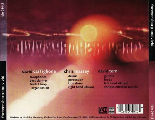 Chris Massey, David Castiglione, David Torn - Forever Sharp and Vivid (1998)