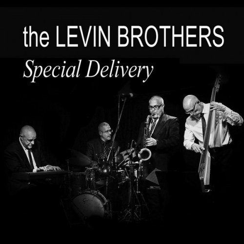 The Levin Brothers - Special Delivery (2017)