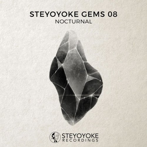 VA - Steyoyoke Gems Nocturnal 08 (2019)