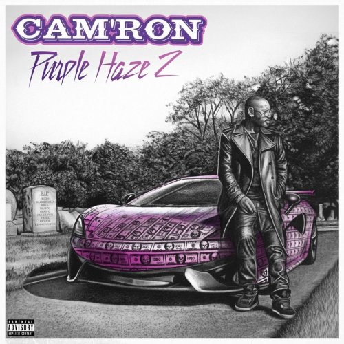 Cam'ron - Purple Haze 2 (2019)