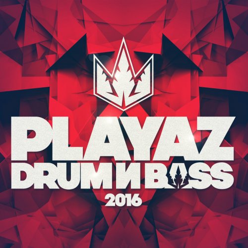 VA - Playaz Drum & Bass 2016 (2017) flac