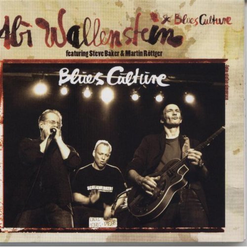 Abi Wallenstein, Steve Baker, Martin Rottger - Blues Culture (2007)