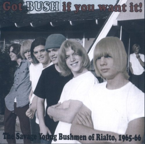 The Bush - Got Bush If You Want It! (The Savage Young Bushmen Of Rialto, 1965-66) (2006)