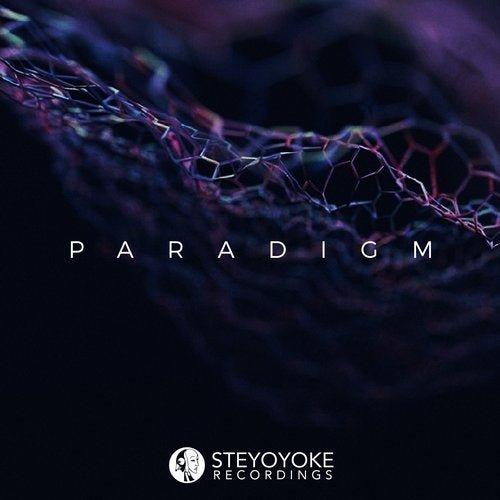 VA - Steyoyoke Paradigm, Vol. 06 (2020)