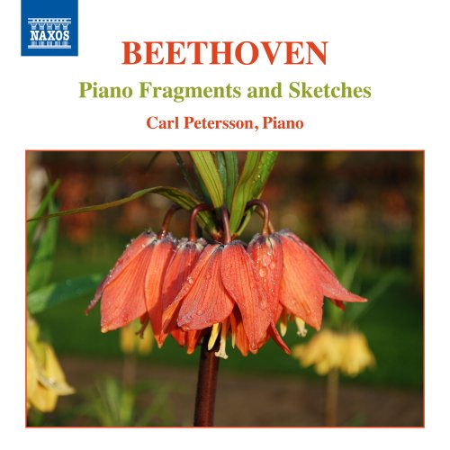 Carl Petersson - Beethoven: Piano Fragments & Sketches (2020)