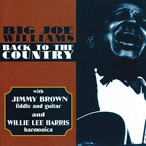 Big Joe Williams - Back To The Country (1964/2020)