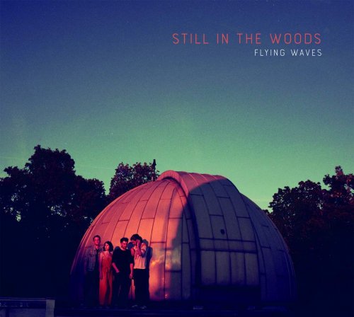 Still In The Woods - Flying Waves (2019) [CD-Rip]