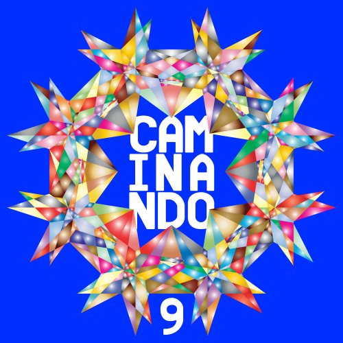 VA - Caminando 9 (2020) flac