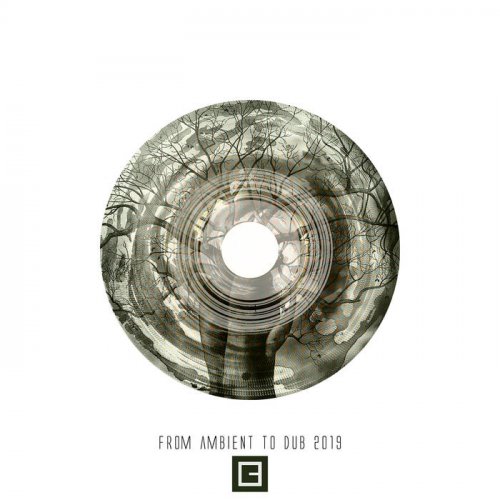 VA - From Ambient To Dub 2019 (2020)