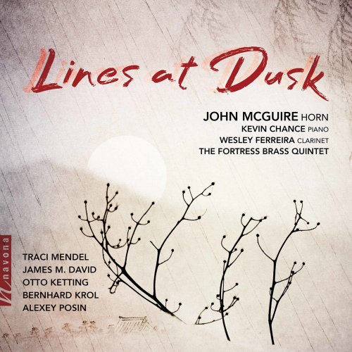 John McGuire - Lines at Dusk (2020) [Hi-Res]