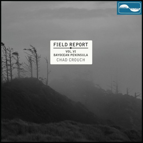 Chad Crouch - Field Report Vol VI: Bayocean Peninsula (2020)