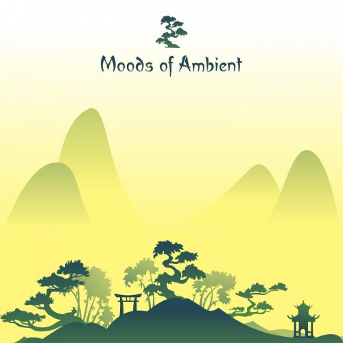 Moods of Ambient (2015)