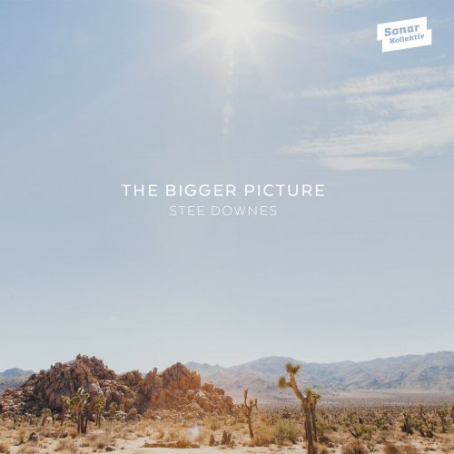 Stee Downes - The Bigger Picture (2016) flac