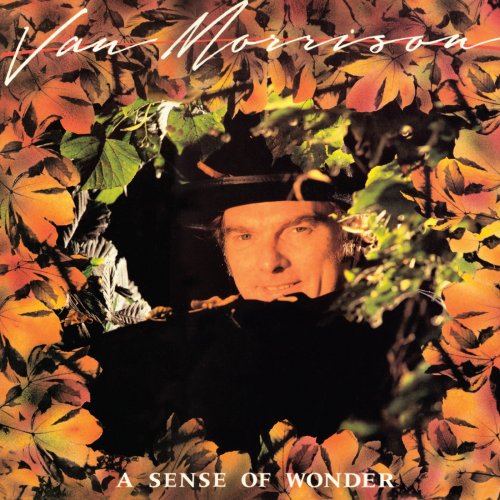 Van Morrison - A Sense of Wonder (2015) [Hi-Res]