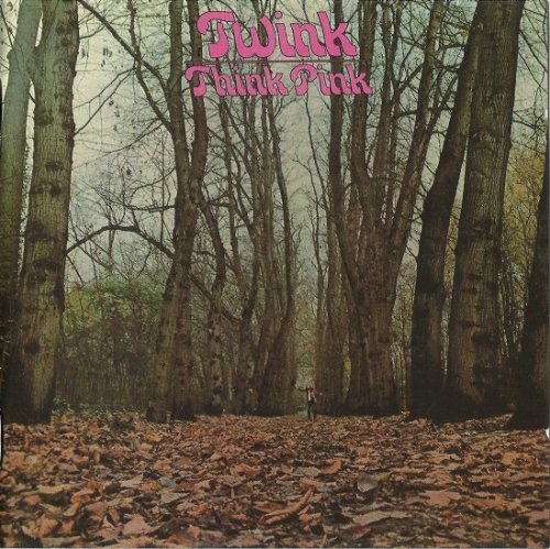 Twink - Think Pink (Reissue, Remastered) (1971/2013) Lossless