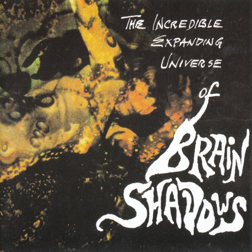 VA - The Incredible Expanding Universe Of Brain Shadows (1991)