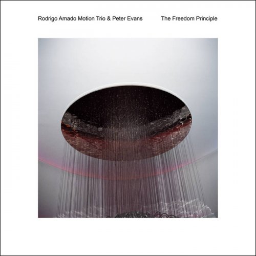 Rodrigo Amado Motion Trio & Peter Evans - The Freedom Principle (2014)