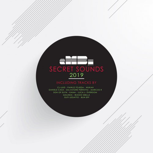 VA - eMBi's Secret Weapons 2019 (2020) flac