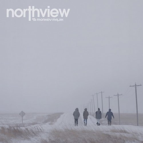 MONKEY MAJIK - northview (2020)