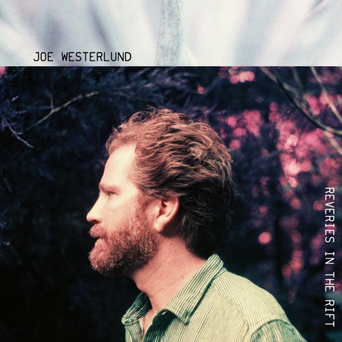 Joe Westerlund - Reveries in the Rift (2020)