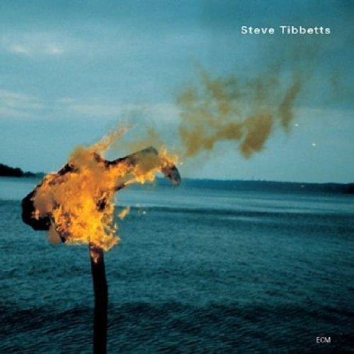 Steve Tibbetts - A Man About A Horse (2002) CD Rip