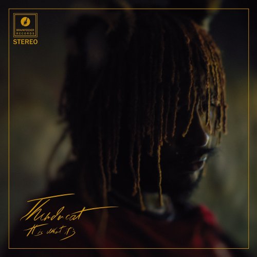 Thundercat - It Is What It Is (2020) [Hi-Res]