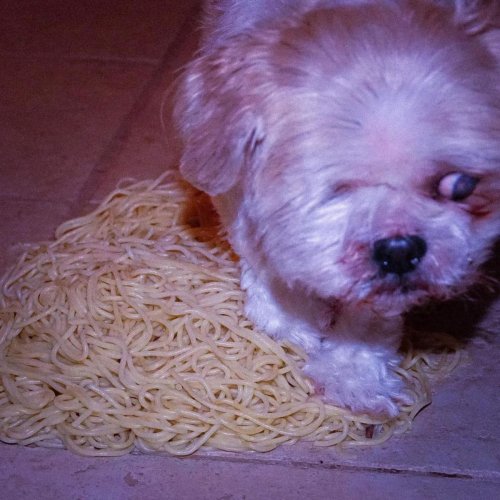 Collision Theory - Bad Spaghetti (2020)