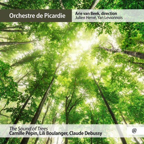 Orchestre de Picardie, Julien Hervé & Yan Levionnois & Arie van Beek - The Sound of Trees (2020) [Hi-Res]