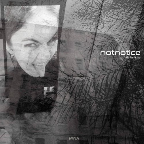 Notnotice - friendly (2020)