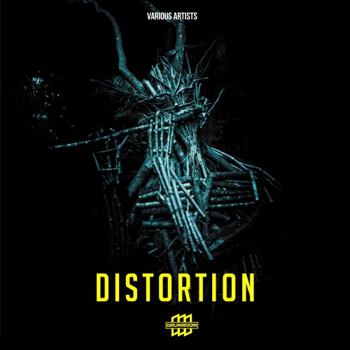 VA - Distortion (2020) flac