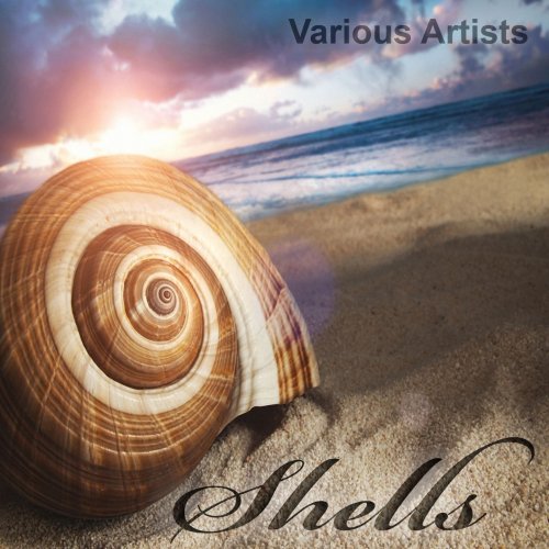 Shells (16 Finest Downtempo, Chillout & Lounge Tracks) (2015)