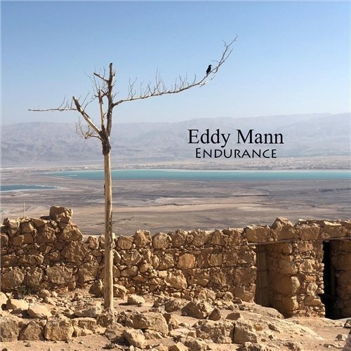 Eddy Mann - Endurance (2019)