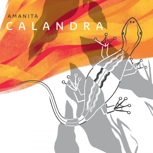 Amanita - Calandra (2020)