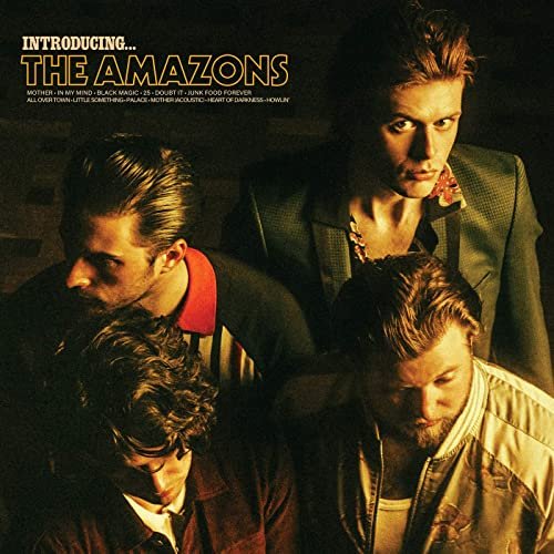 The Amazons - Introducing… The Amazons (2020) [Hi-Res]