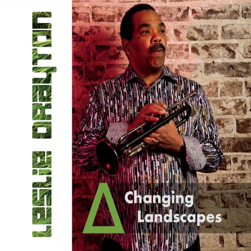 Leslie Drayton - Changing Landscapes (2020)