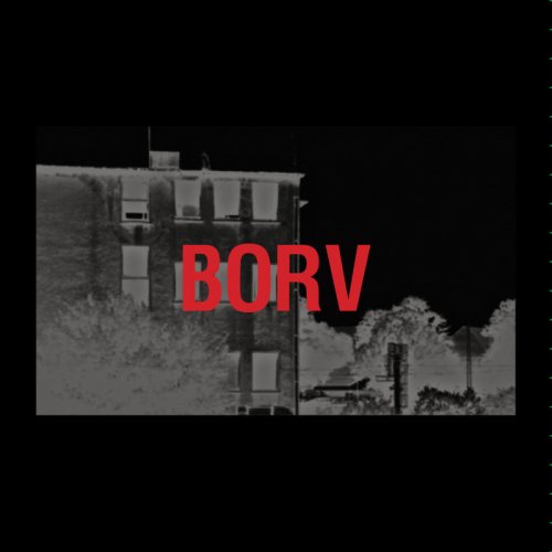 VA - BORV (2020)