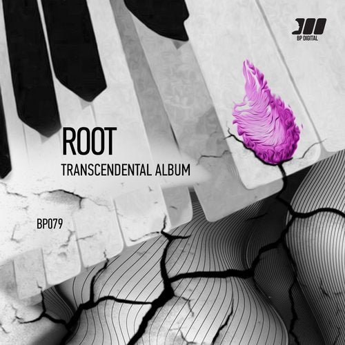 Root - Transcendental Album (2020)