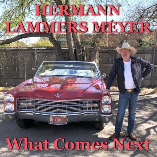 Hermann Lammers Meyer - What Comes Next (2020)