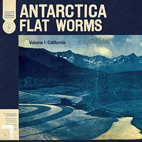 Flat Worms - Antarctica (2020) Hi Res