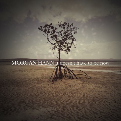 Morgan Hann - It Doesn't Have To Be Now (2020)