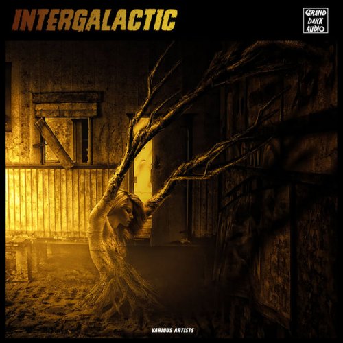 VA - Intergalactic (2020) flac