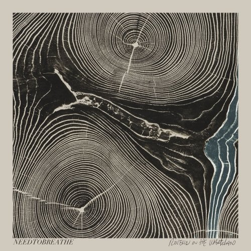 NEEDTOBREATHE - Rivers in the Wasteland (2014) [Hi-Res]