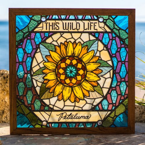 This Wild Life - Petaluma (2018) [Hi-Res]
