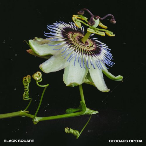 Black Square - Beggars Opera (2020)